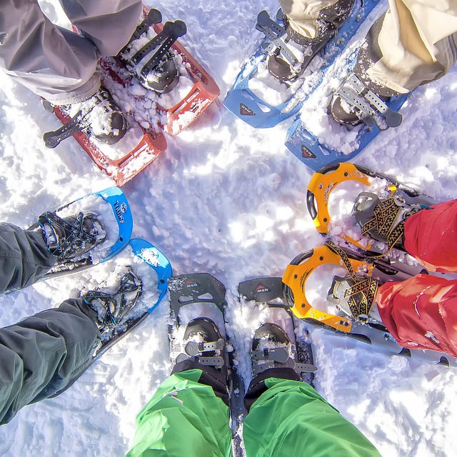Six Snowshoes in a circle